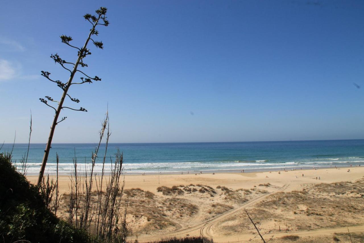 Estudio En El Centro De Conil โกนิล เด ลาฟรอนเตรา ภายนอก รูปภาพ