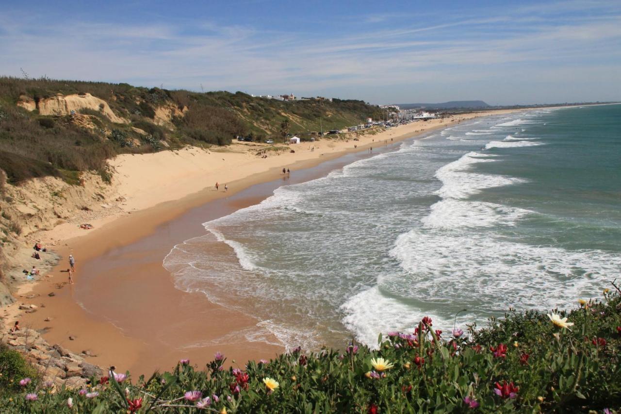 Estudio En El Centro De Conil โกนิล เด ลาฟรอนเตรา ภายนอก รูปภาพ
